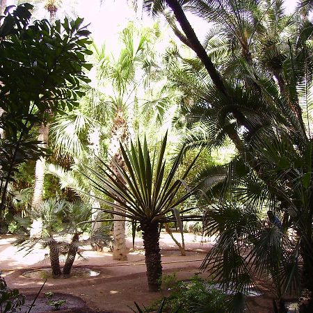 Appart Avec Vue Jardin/Majorelle Marrakesch Exterior foto