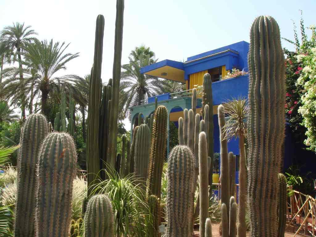 Appart Avec Vue Jardin/Majorelle Marrakesch Exterior foto