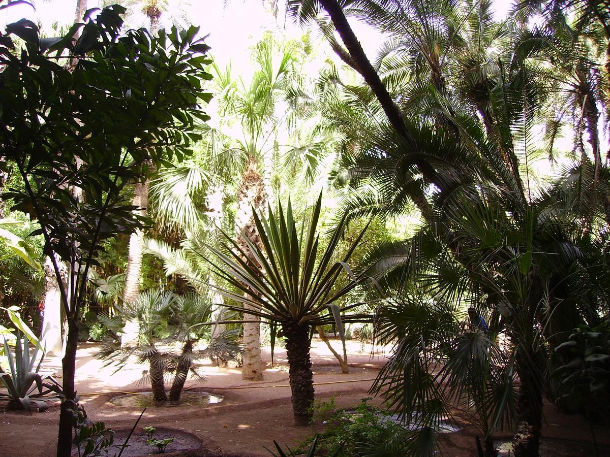 Appart Avec Vue Jardin/Majorelle Marrakesch Exterior foto